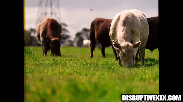 Gay celebrities fuck on reality show set