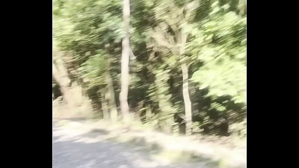 Novinho safado saiu da escola e foi procurar macho dotado no mato